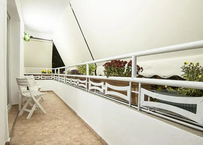 Dea's Center * Tirana